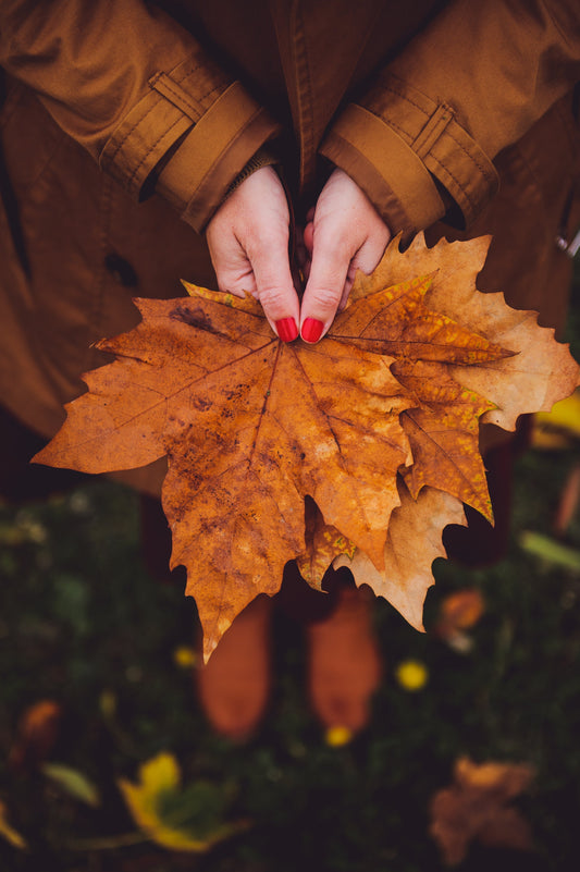 Mabon traditions, rituels et correspondances magiques