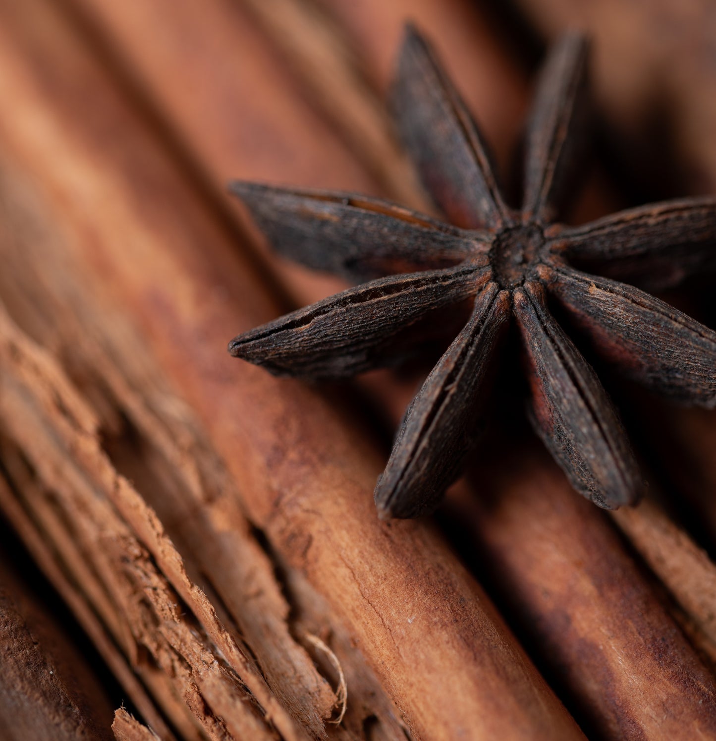 Sagrada Madre Sahumitos smudge Cannelle et Anis