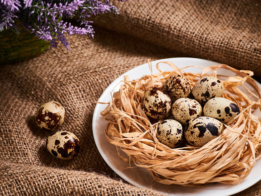 Le sabbat d'Ostara traditions, rituels et correspondances magiques