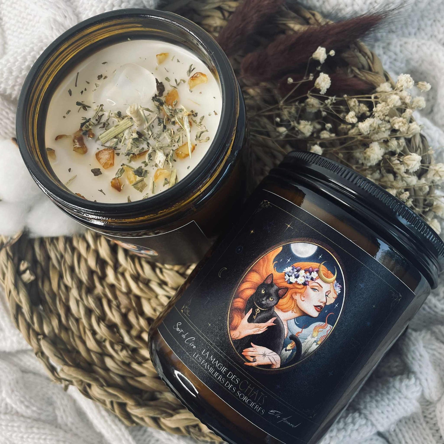 Collection Magie des chats