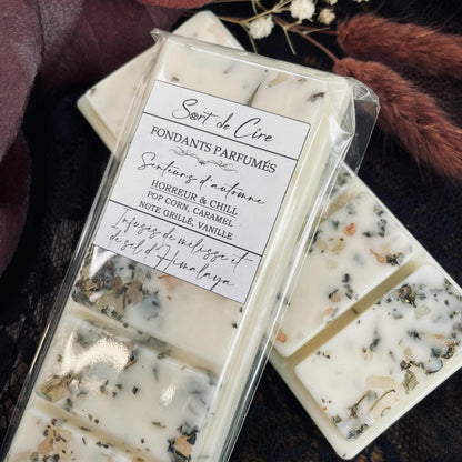 Fondants parfumés Horreur & Chill