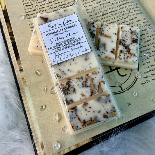 Fondants parfumés Magie hivernale