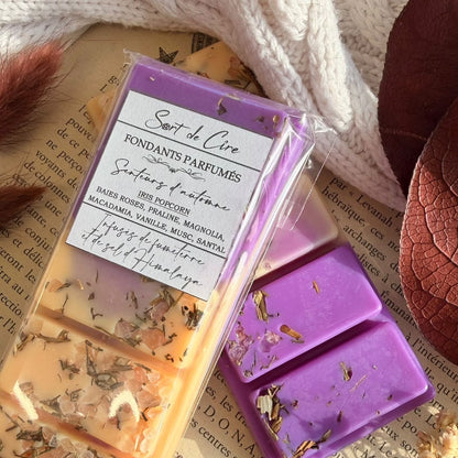 Fondants parfumés Iris Popcorn