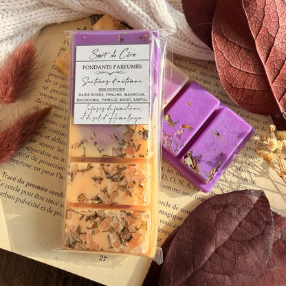 Fondants parfumés Iris Popcorn
