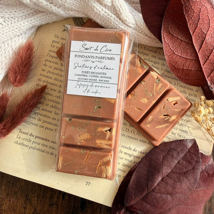 Fondants parfumés Forêt enchantée