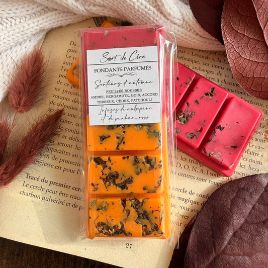 Fondants parfumés Feuilles Rousses