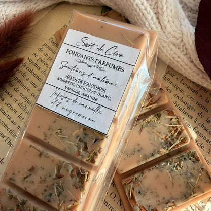 Fondants parfumés Récolte d'automne