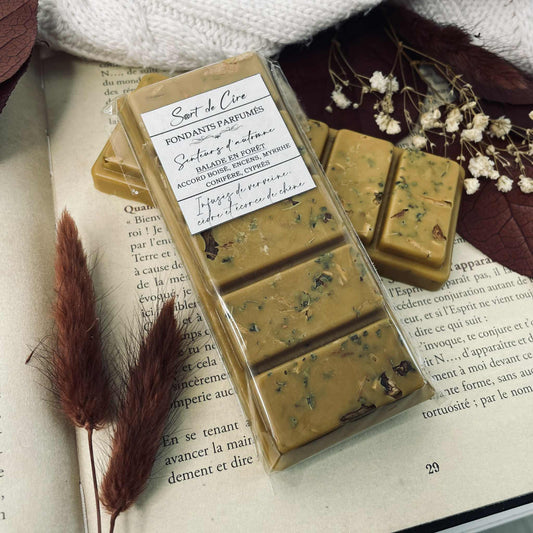 Fondants parfumés Balade en forêt