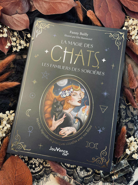 Livre "La magie des chats, les familiers des sorcières"