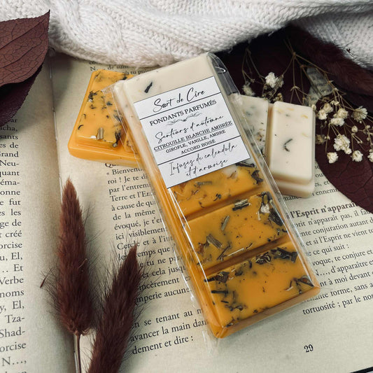 Fondants parfumés Citrouille blanche