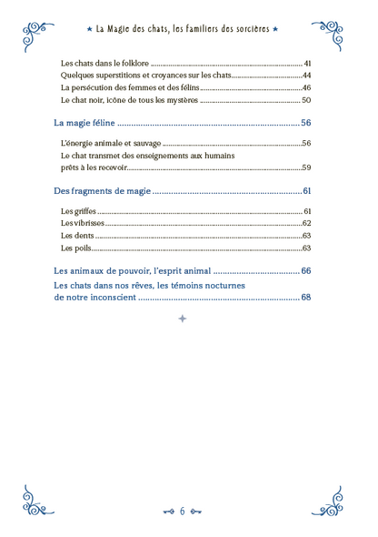 Livre "La magie des chats, les familiers des sorcières"
