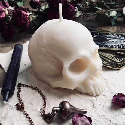 Bougie crâne - skull -